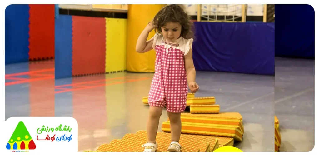 هوش هیجانی